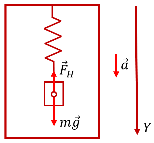 Силы, действующие на груз, подвешенный с помощью пружины к потолку опускающегося лифта с осью координат